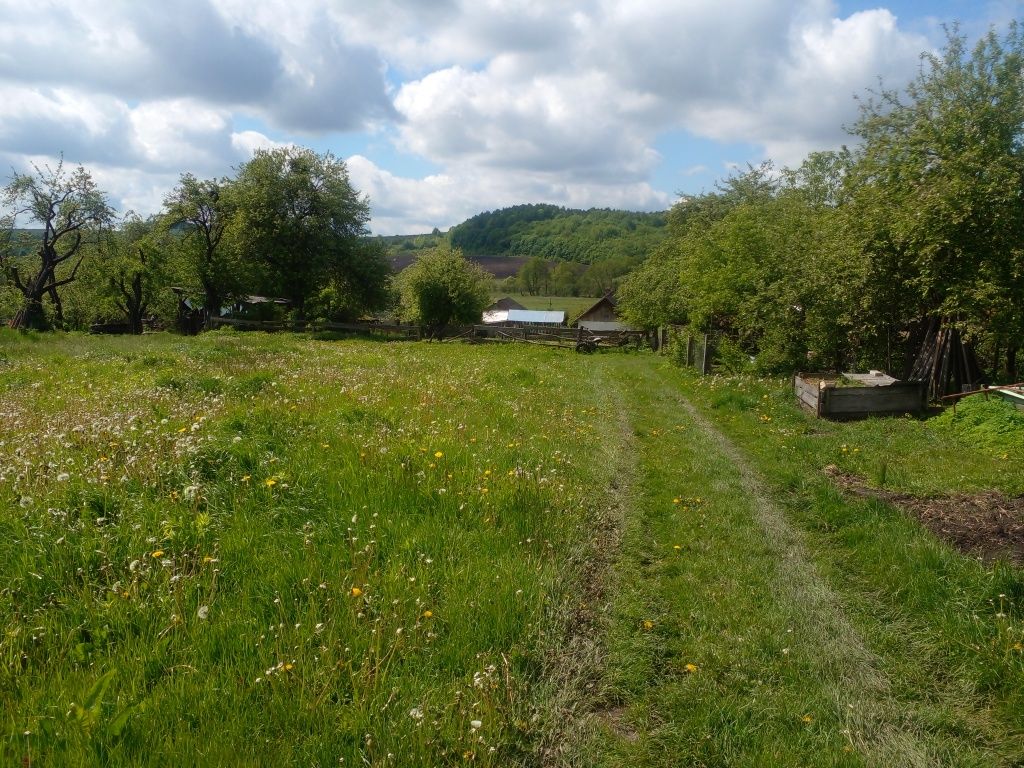 Житлова нерухомість Коросно, Підлісна, 20 фото 17