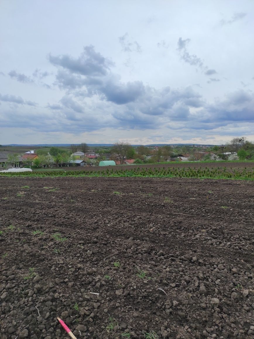 Продаж земельної ділянки, Гребінці