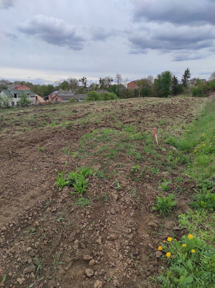 Земельні ділянки Гребінці, нема фото 2