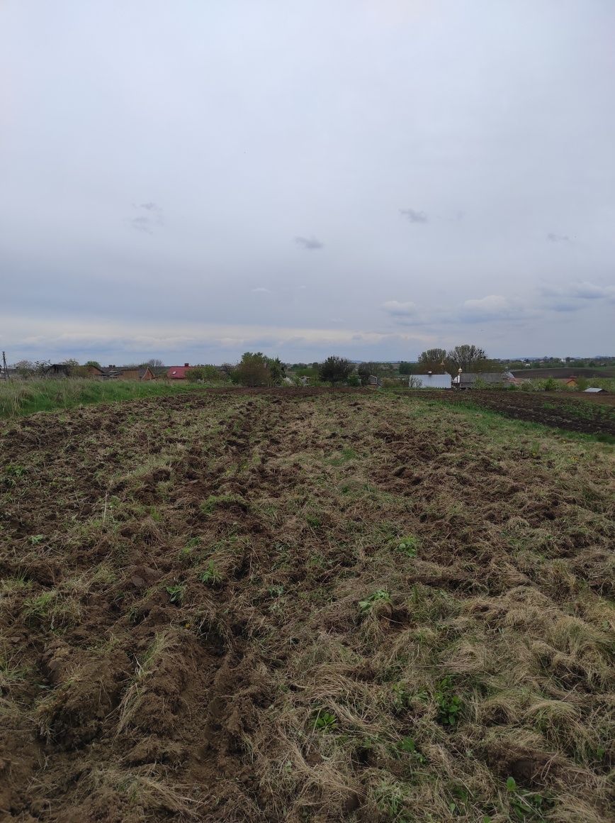Земельні ділянки Гребінці, нема фото 3
