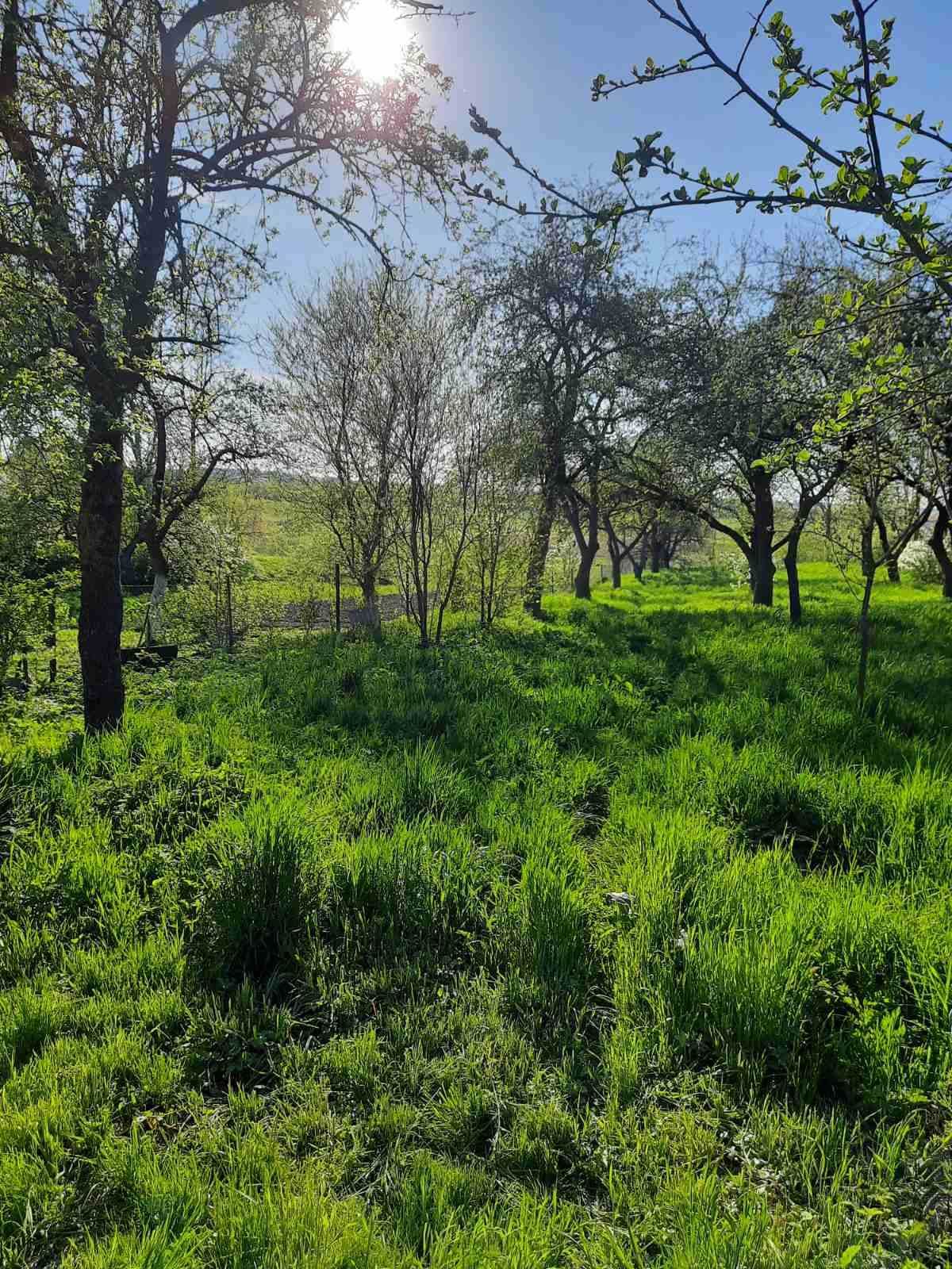 Житлова нерухомість Чуловичі, Соломична, 67 фото 5