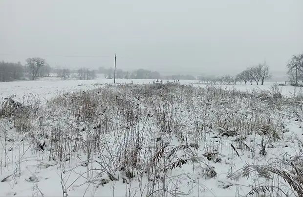 Земельні ділянки Мала Воля, на призначено фото 5