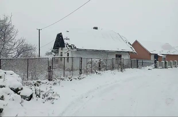 Продаж земельної ділянки, Мала Воля
