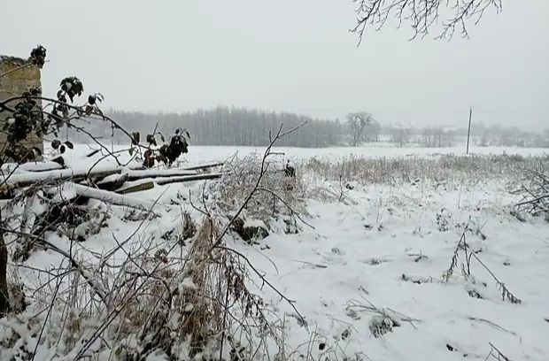 Земельні ділянки Мала Воля, на призначено фото 3