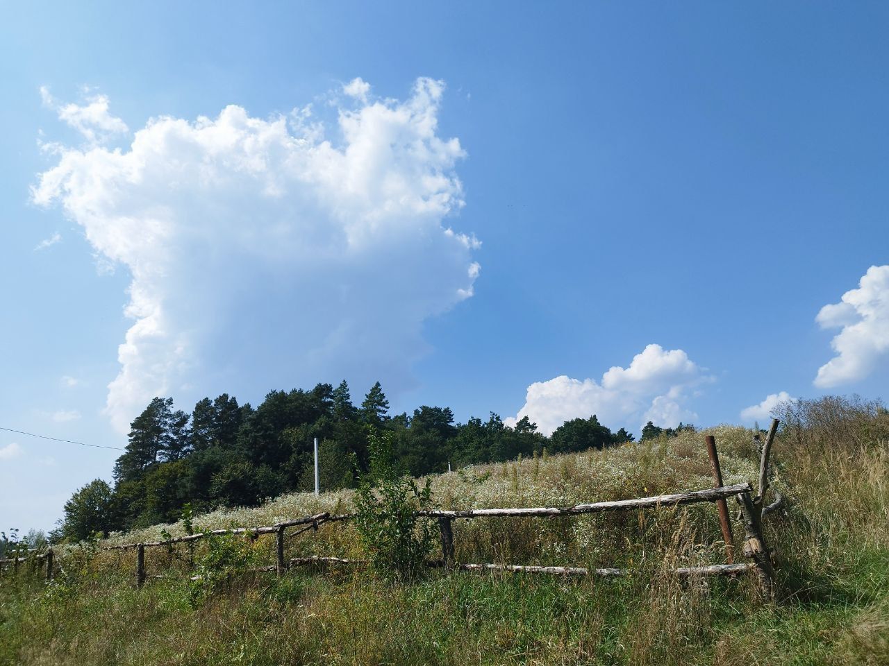 Земельні ділянки Пустомити, Нема фото 2