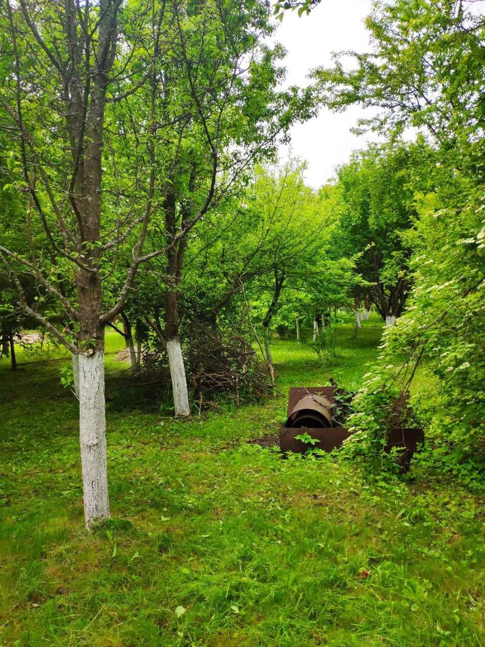 Житлова нерухомість Велика Калинка, нема фото 18