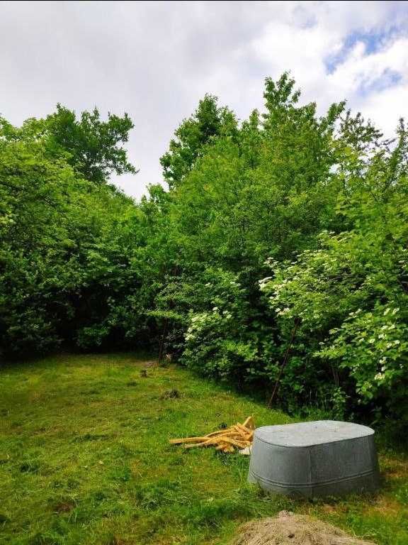 Житлова нерухомість Велика Калинка, нема фото 16
