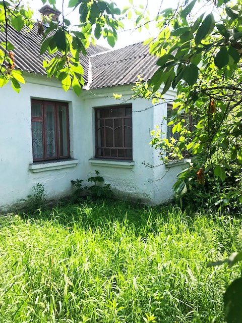 Житлова нерухомість Купичволя, нема фото 3