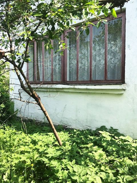 Житлова нерухомість Купичволя, нема фото 2