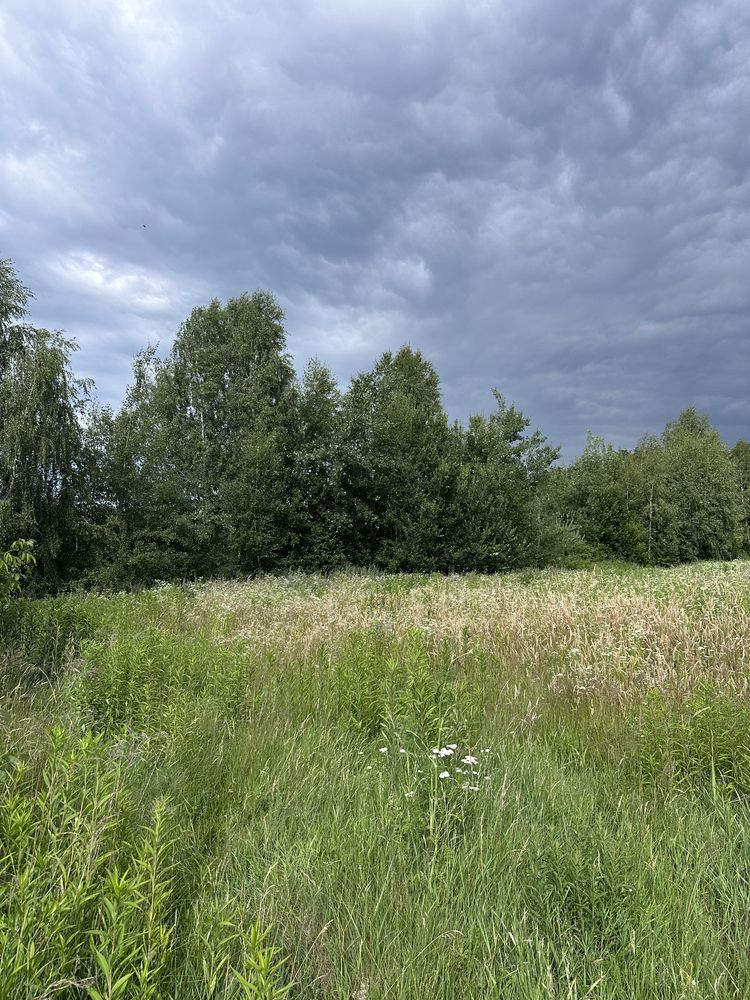 Земельні ділянки Майдан, 4622784400:13:000:0065 фото 3