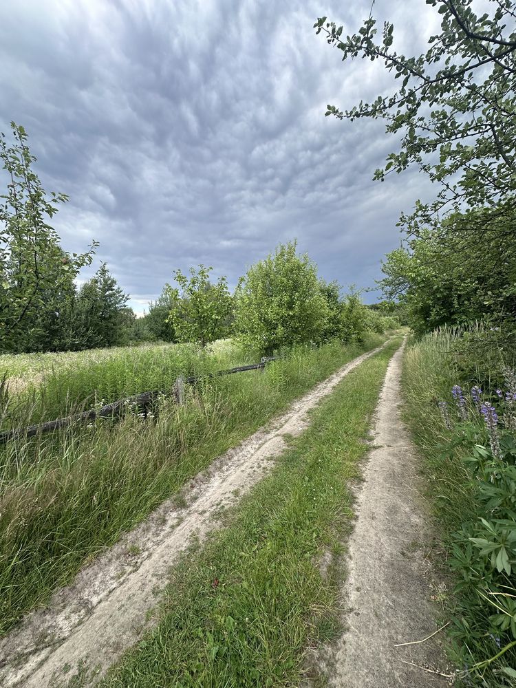 Земельні ділянки Майдан, 4622784400:13:000:0065 фото 5
