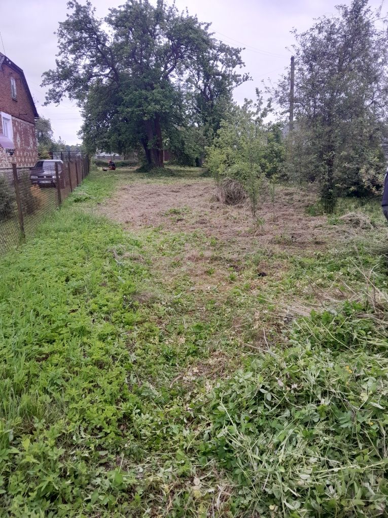 Продаж земельної ділянки, Заверешиця