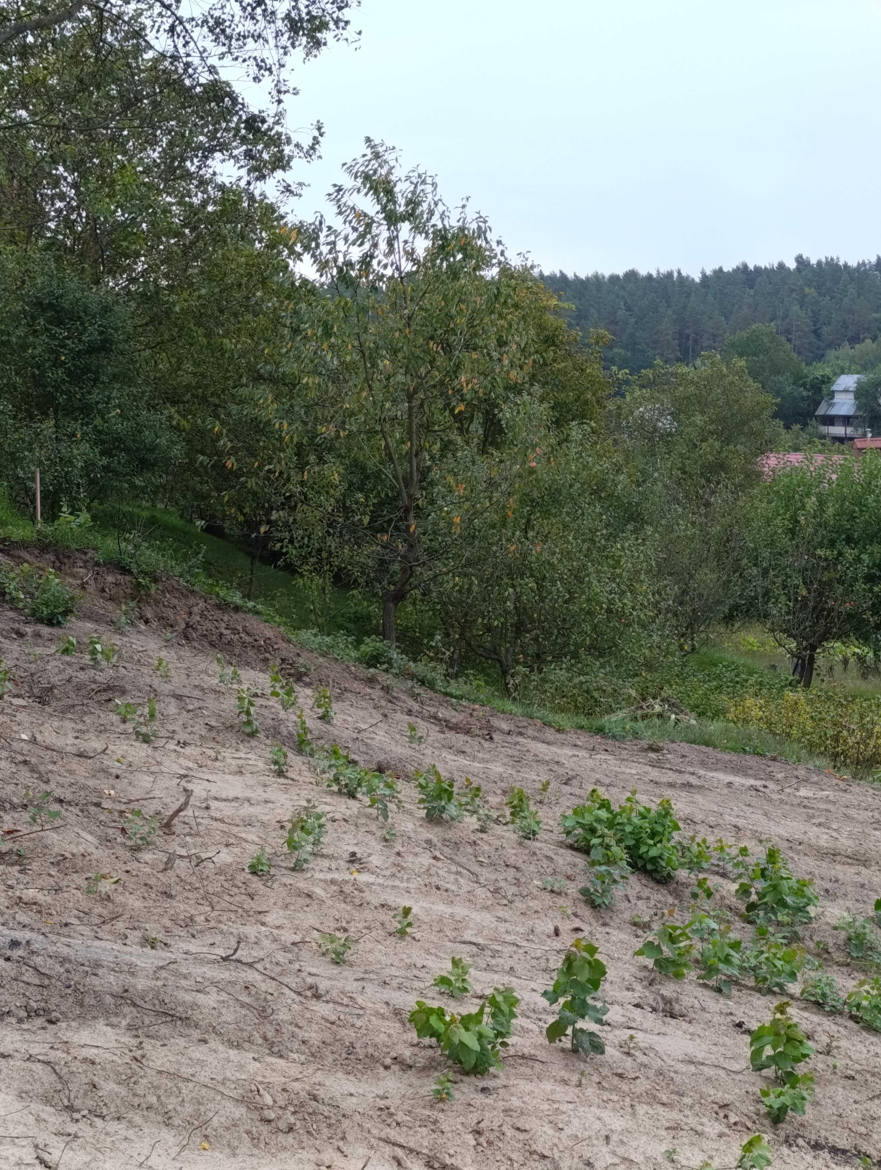 Земля під інд. будівництво Бірки, 4625880800:02:000:0830 фото 2