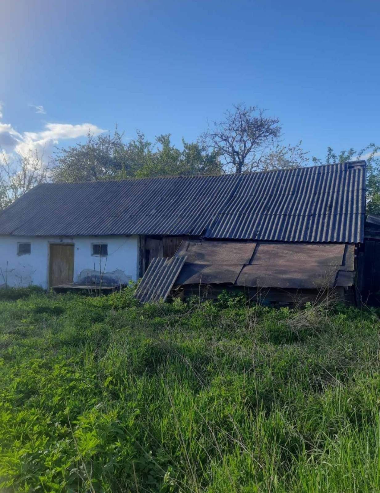 Будинок Ямельня, ярова фото 4