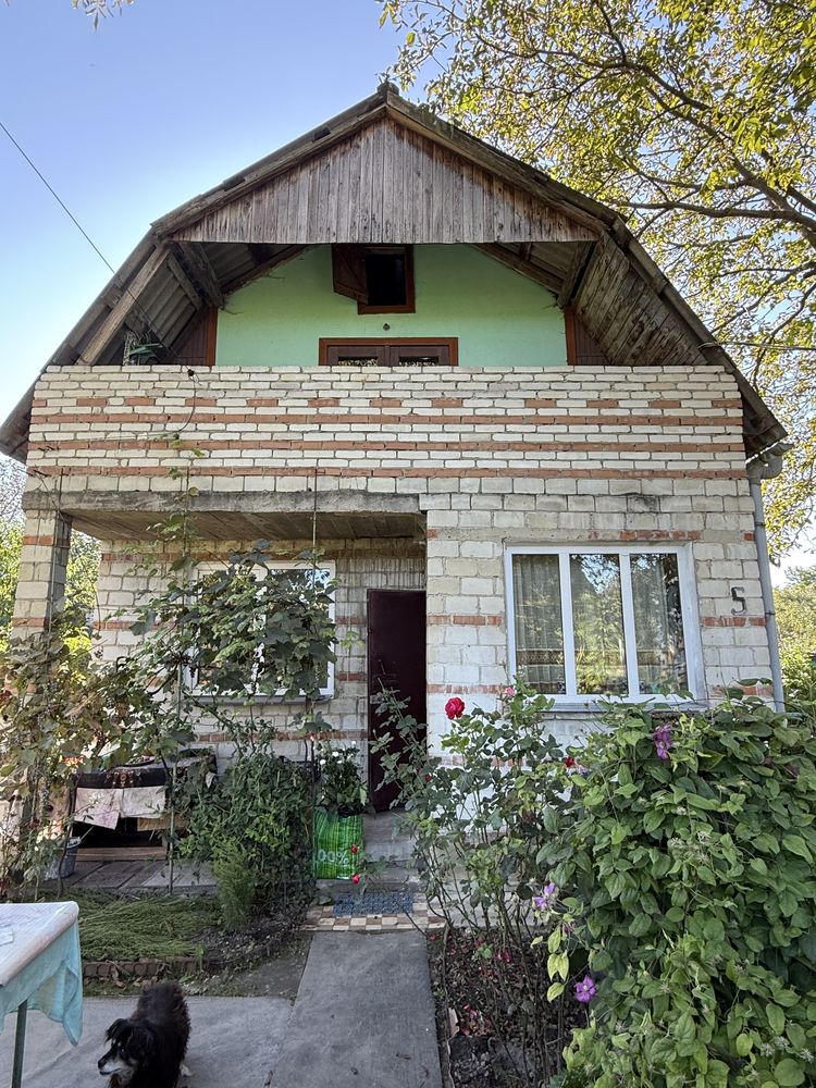 Продаж будинку, Велика Калинка, вул. Кооператив Карпати 5