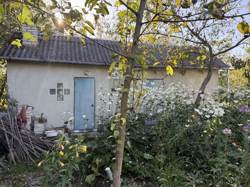 Житлова нерухомість Велика Калинка, Кооператив Карпати 5 фото 14