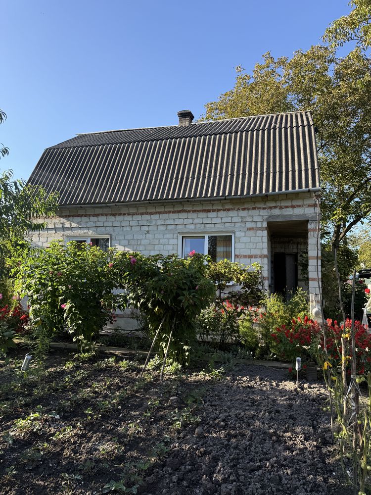 Житлова нерухомість Велика Калинка, Кооператив Карпати 5 фото 8