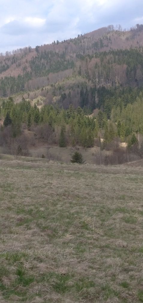 Земля під інд. будівництво Борислав, 4625582600:01:006:0011 фото 4
