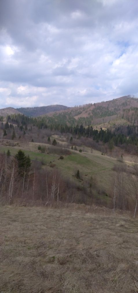 Земля під інд. будівництво Борислав, 4625582600:01:006:0011 фото 5