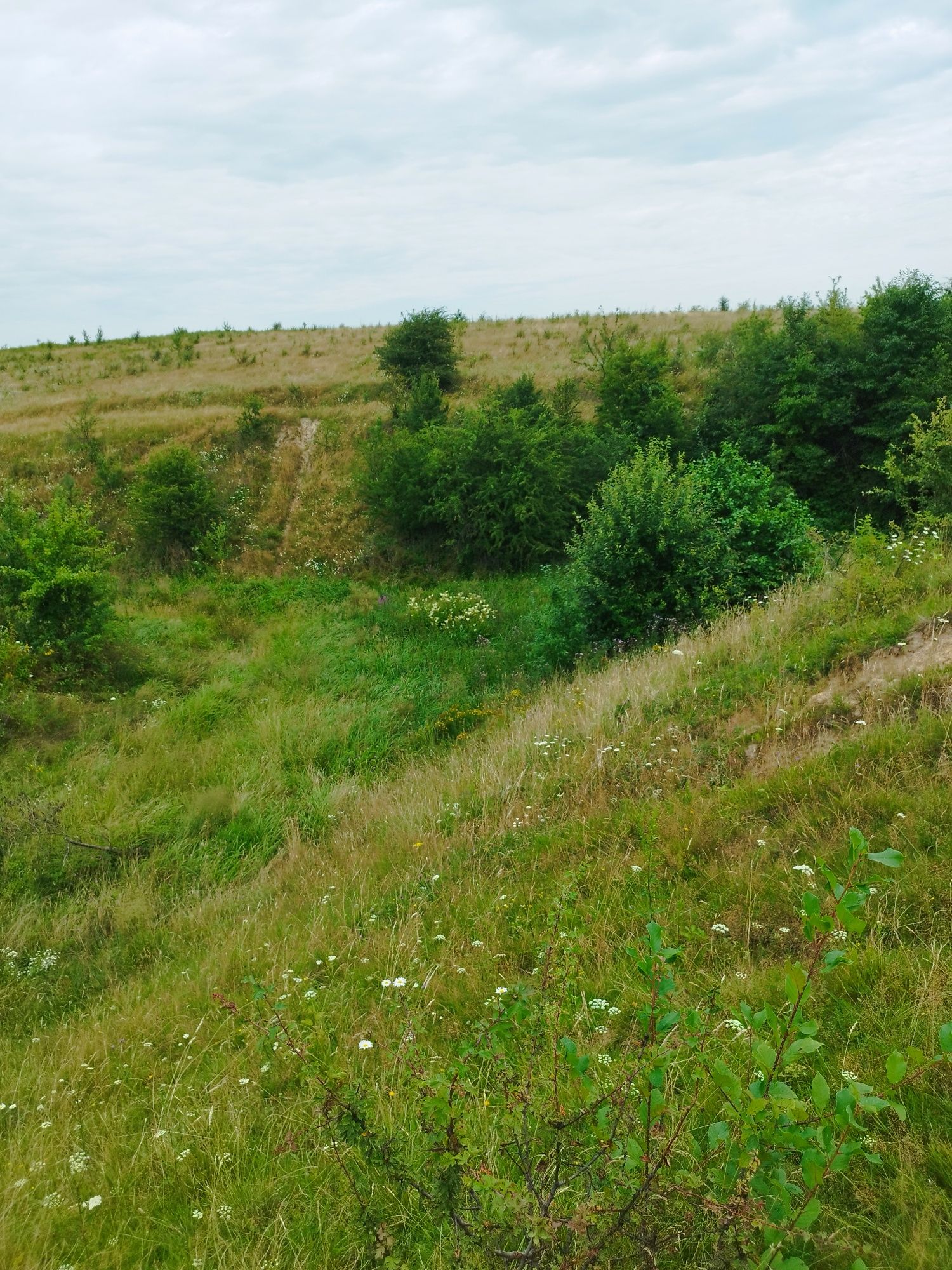 Земельні ділянки Самбір, нема фото 2