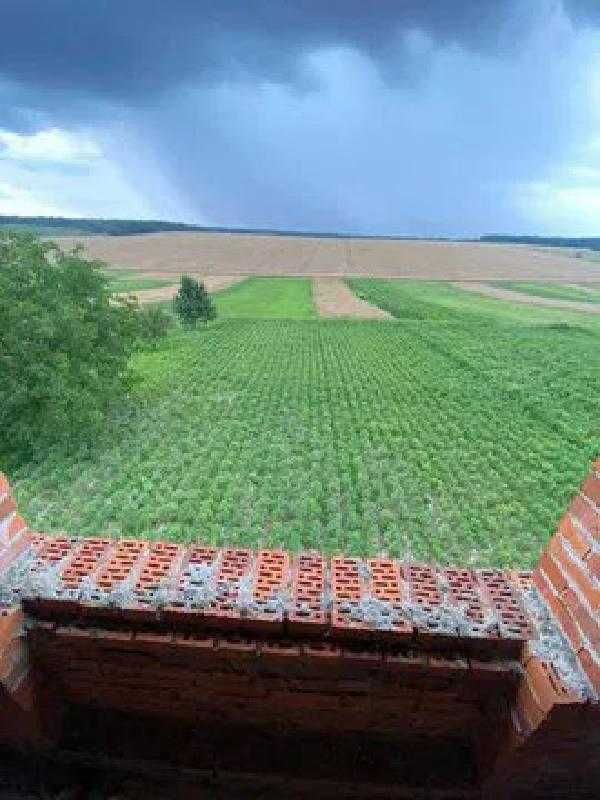 Житлова нерухомість Ролів, Зелена фото 8
