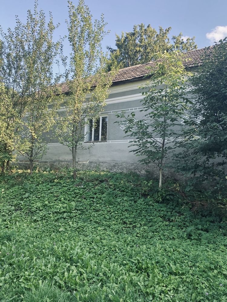 Житлова нерухомість Львів, Церковна, 6 фото 2