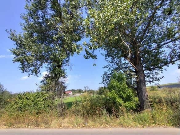 Земля під інд. будівництво Могиляни, 4622787200090040003 фото 2