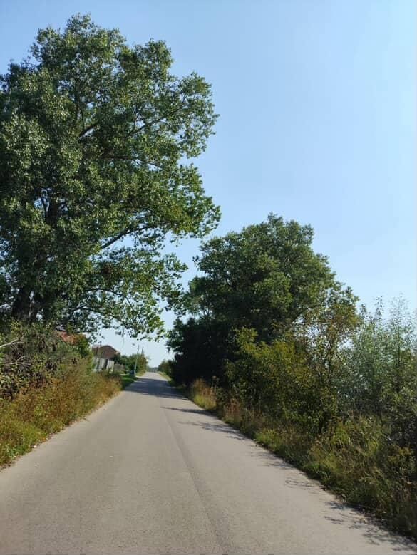 Земля під інд. будівництво Могиляни, 4622787200090040003 фото 5