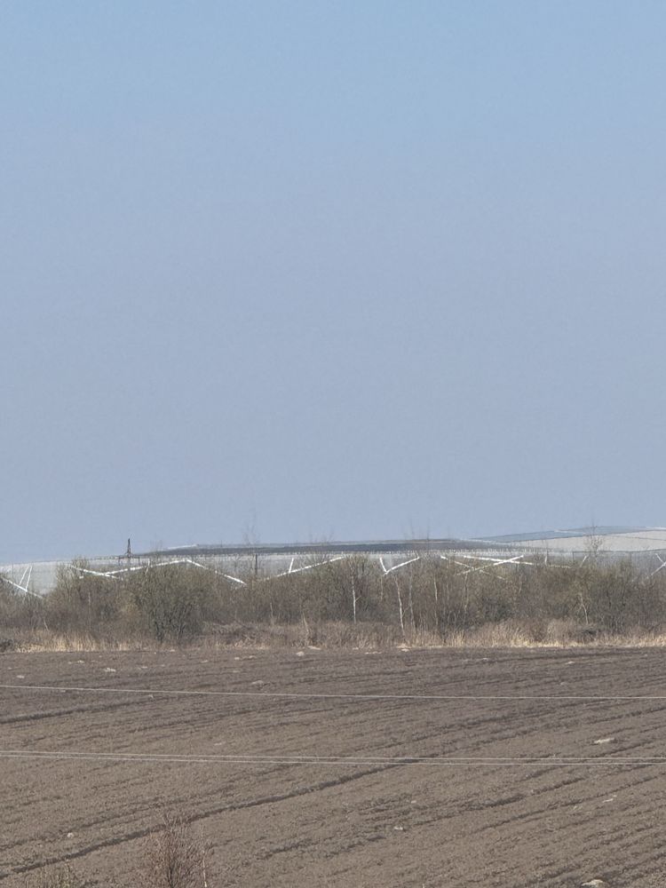Земля сільгосппризначення Зубра, 4623683300:01:003:1881 фото 4
