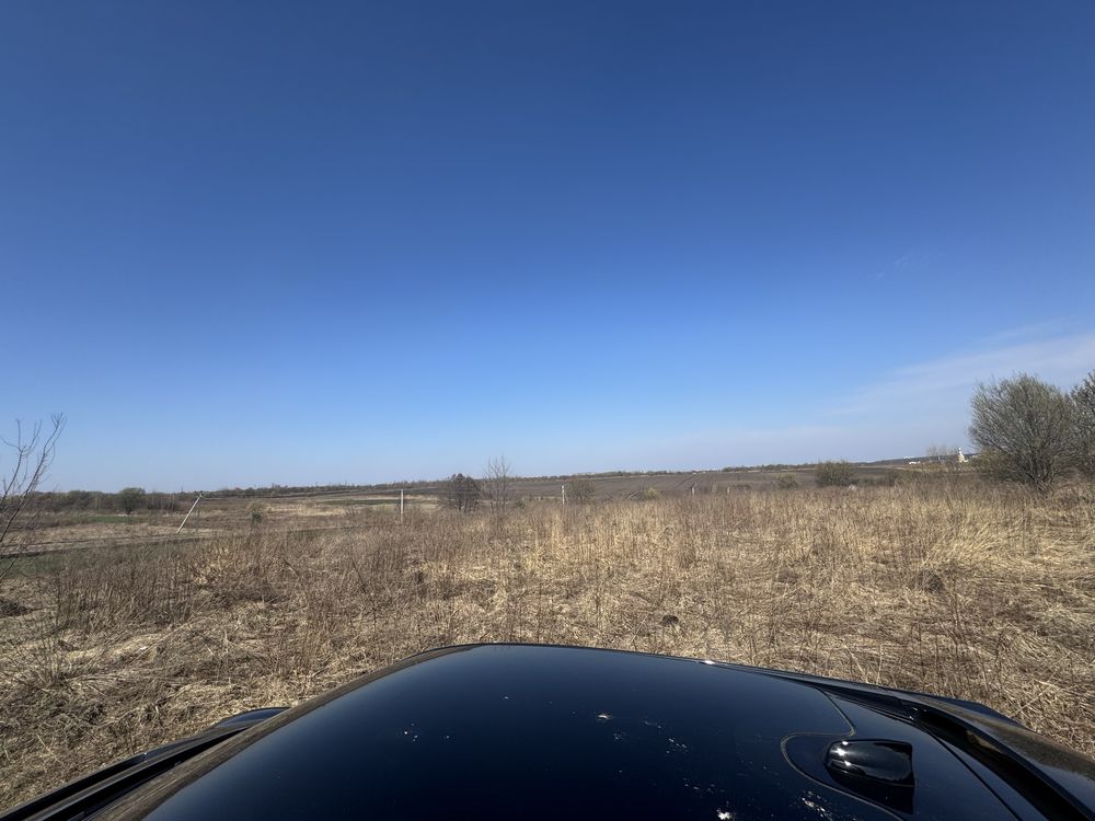 Земля сільгосппризначення Зубра, 4623683300:01:003:1881 фото 7