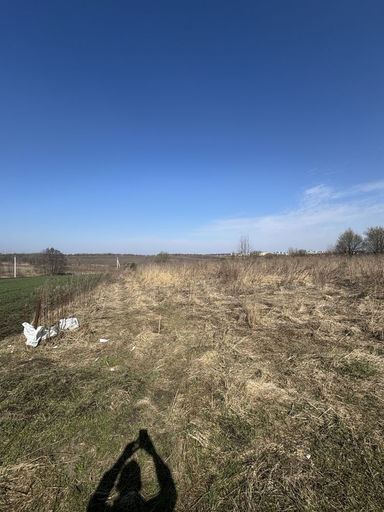 Продаж земельної ділянки, Зубра