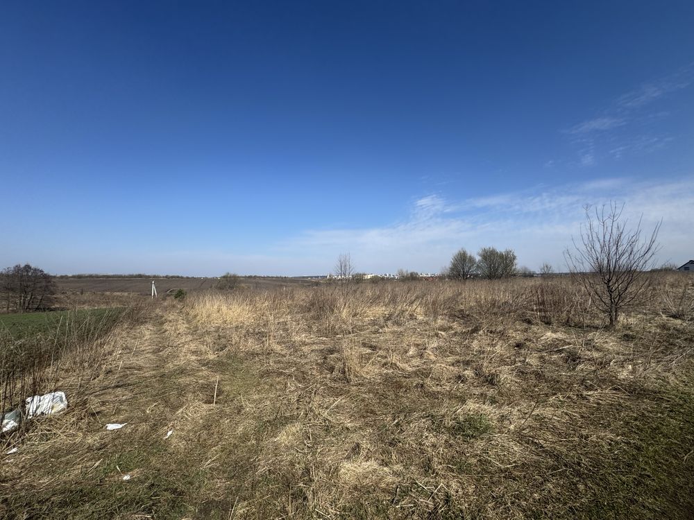 Земля сільгосппризначення Зубра, 4623683300:01:003:1881 фото 2