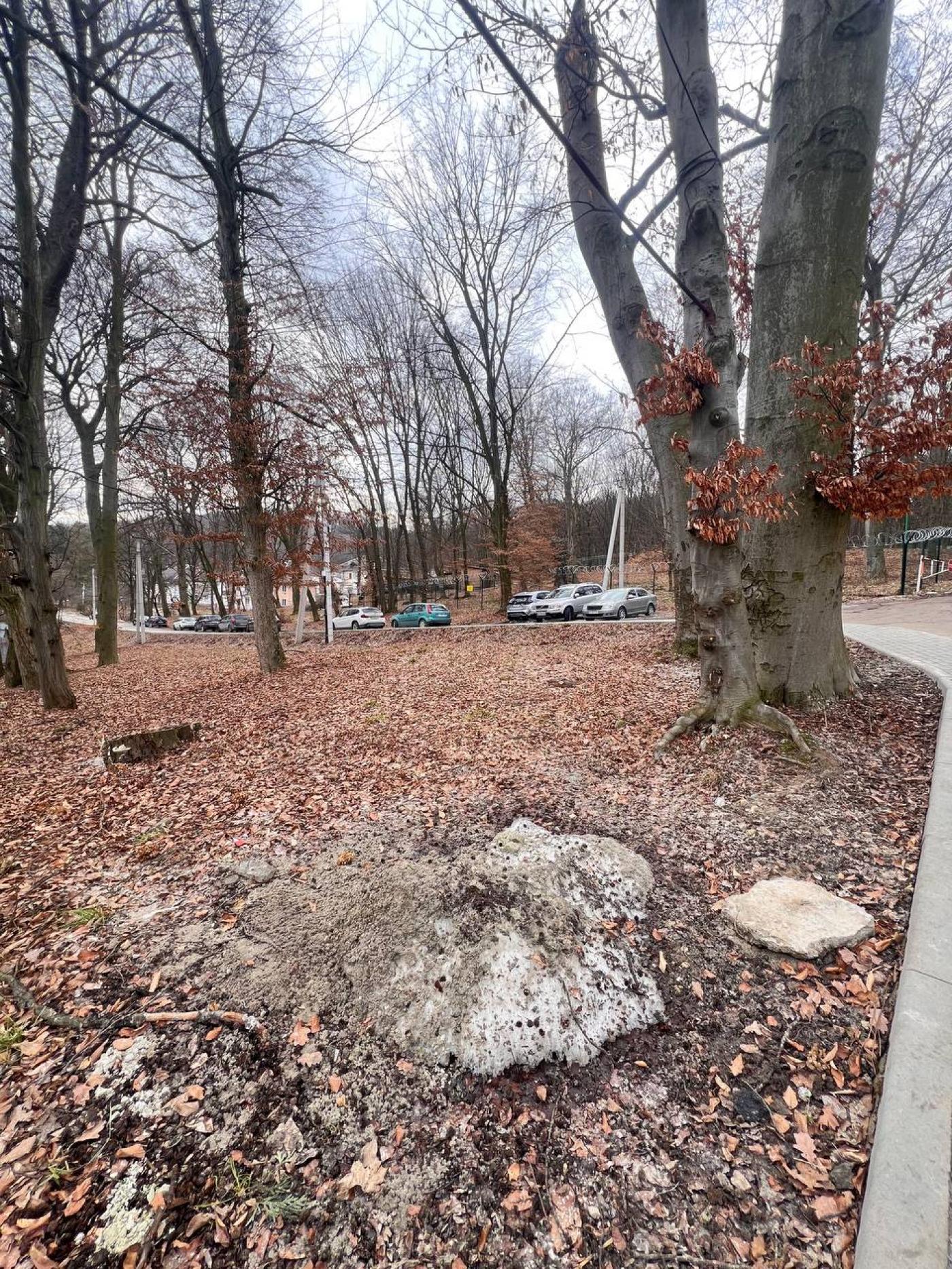 Житлова нерухомість Винники, Лісна, 1 фото 13