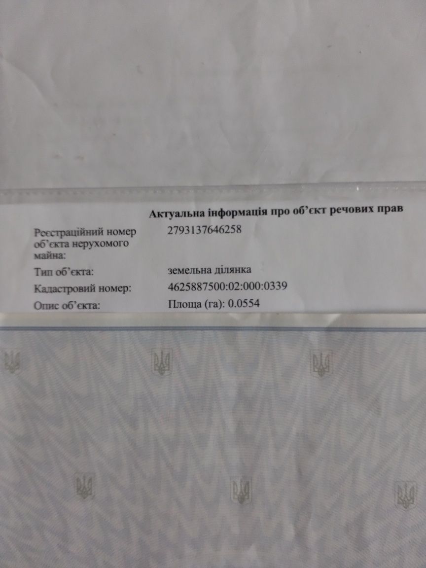 Земельні ділянки Рясне-Руське, нема фото 2