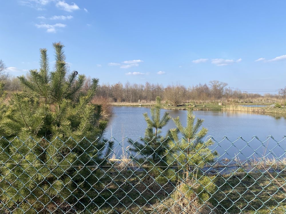 Продаж земельної ділянки, Борщовичі
