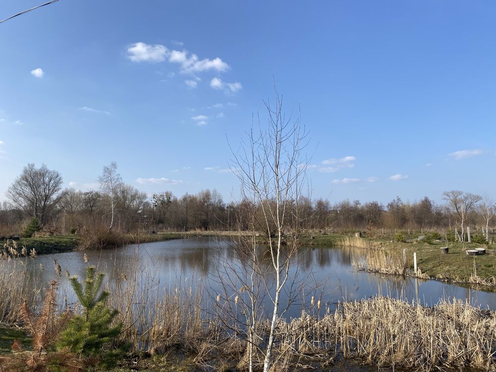 Земельні ділянки Борщовичі, нема фото 4