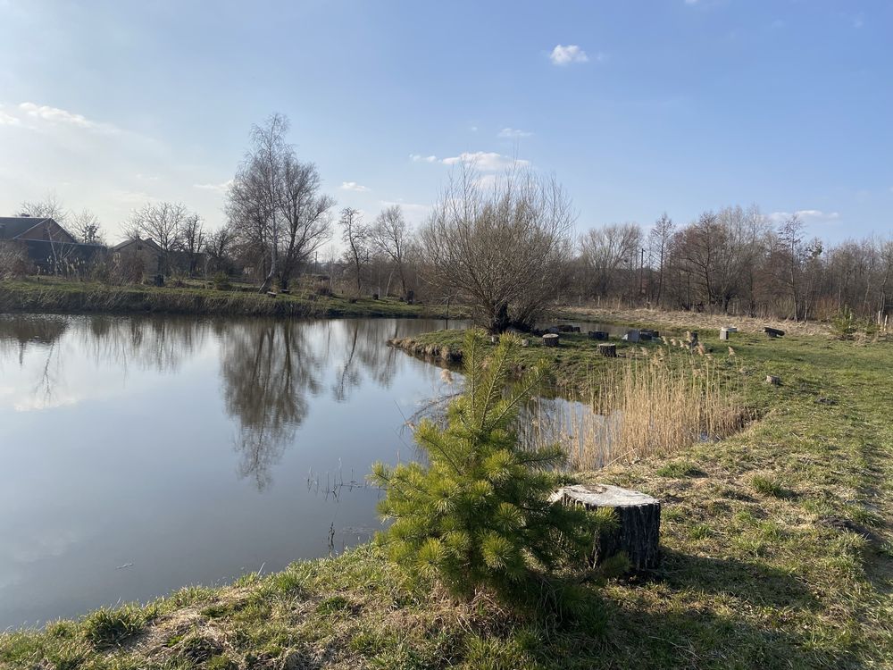 Земельні ділянки Борщовичі, нема фото 3