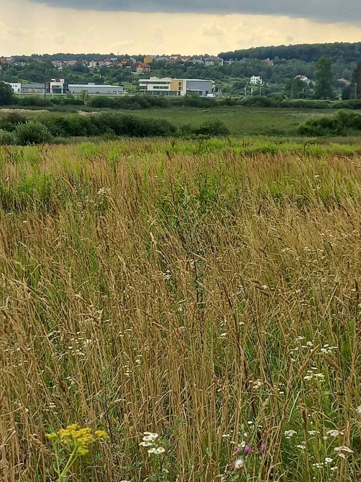 Земельні ділянки Малехів, нема фото 2