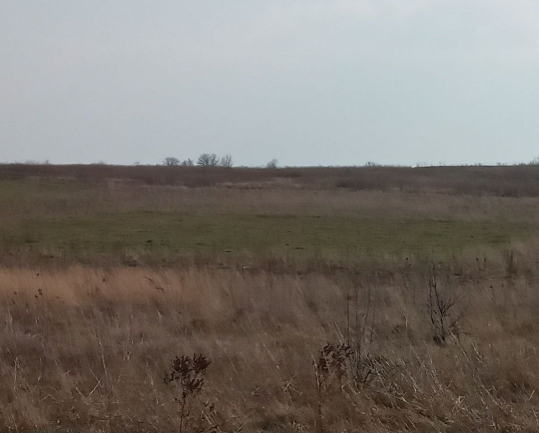 Земельні ділянки Гамаліївка, не призначено фото 2