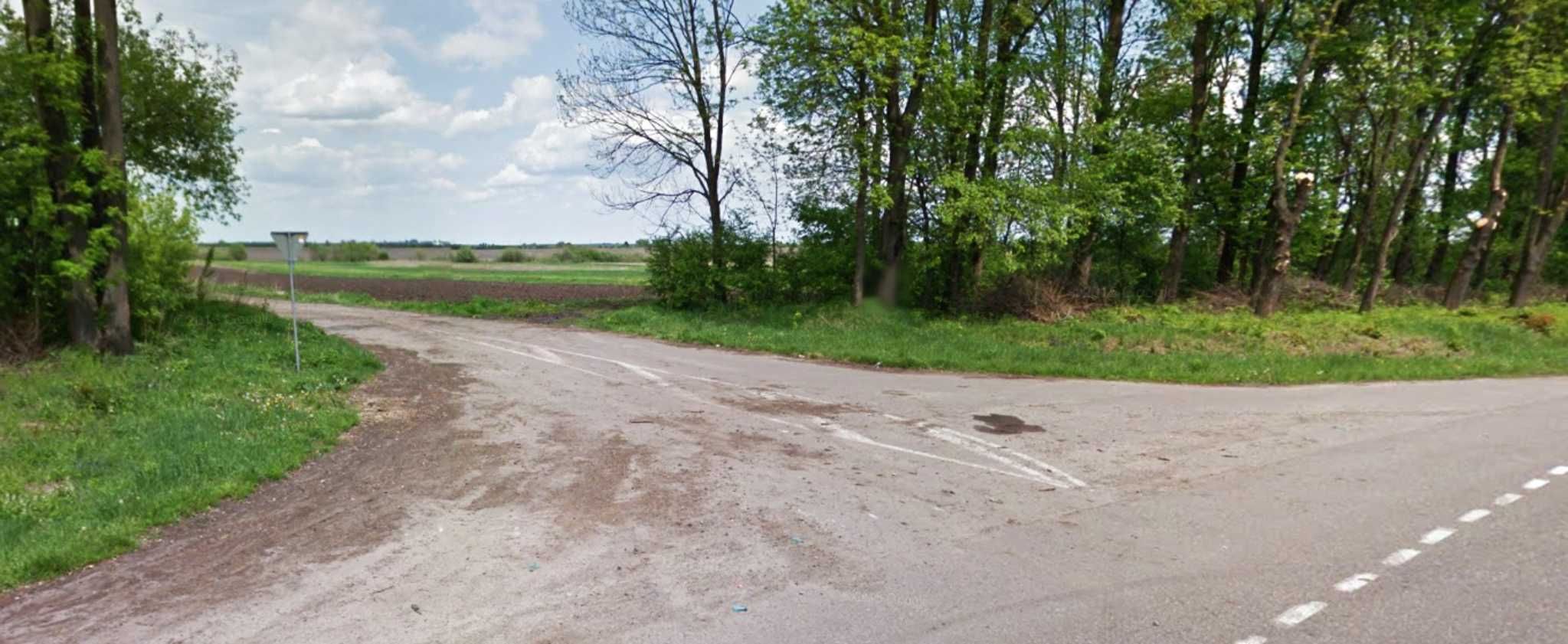 Земля сільгосппризначення Запитів, 4622155400:05:000:0104 фото 4