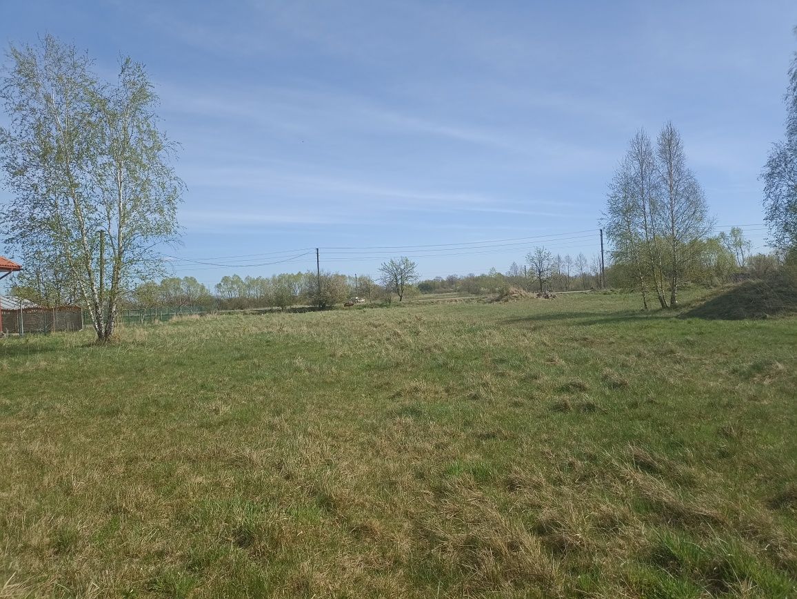 Продаж земельної ділянки, Нова Кам'янка