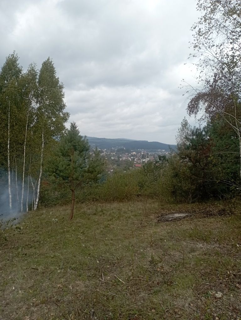 Земля під інд. будівництво Східниця, 4610345400:06:014:0528 фото 6