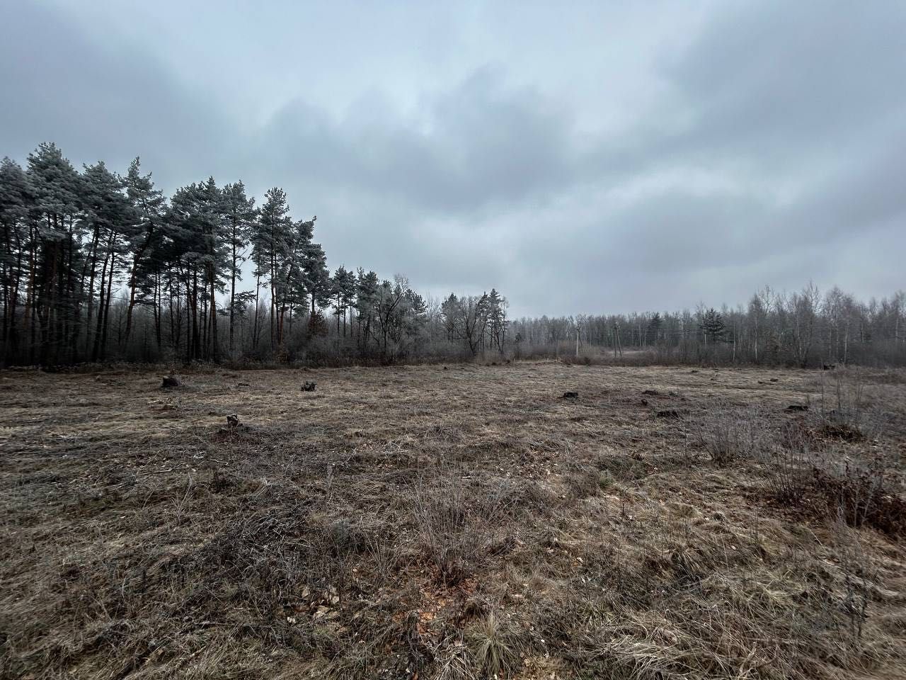 Земельні ділянки Рясне-Руське, 4625887500:04:002:0815 фото 5