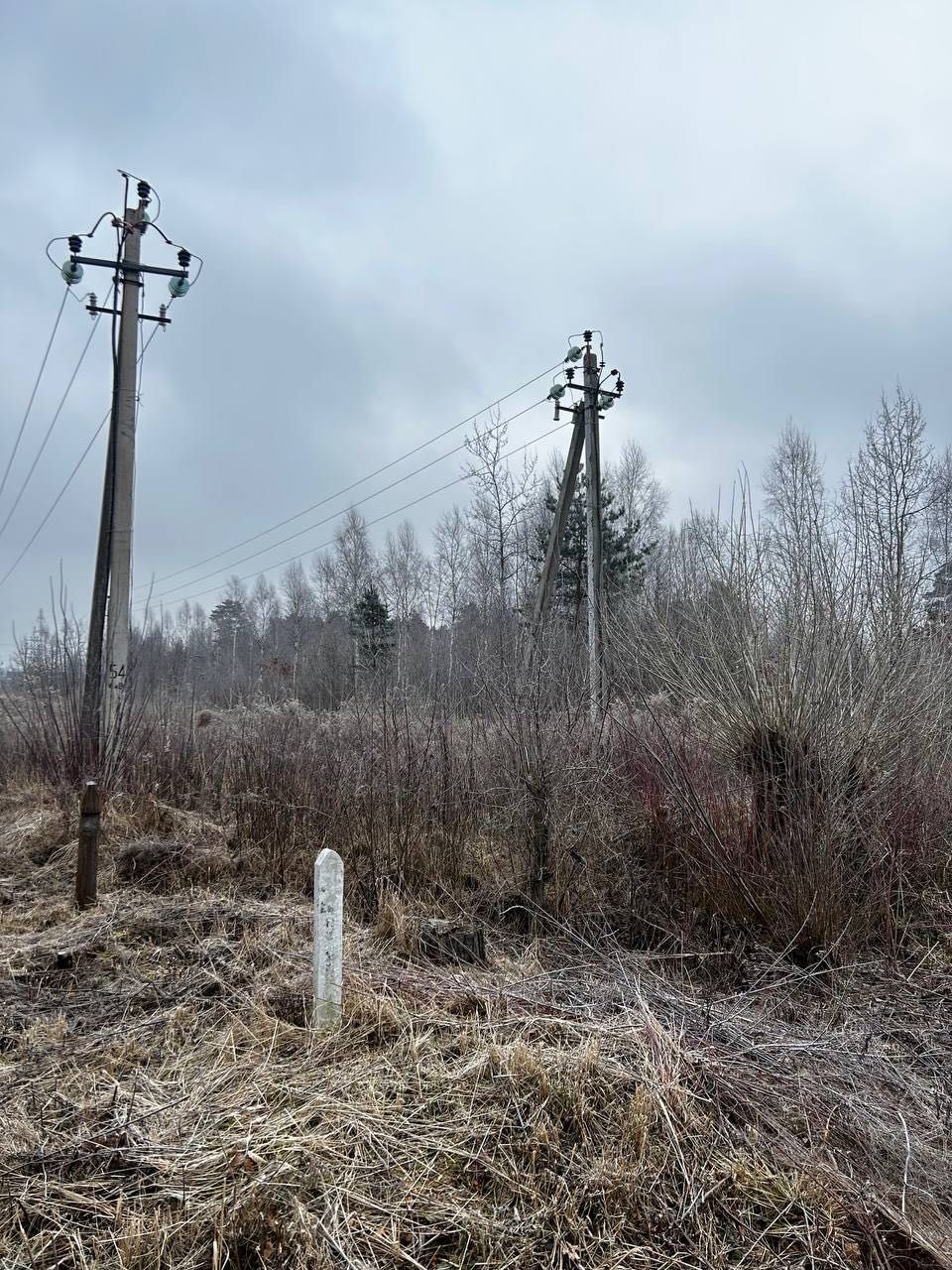Земельні ділянки Рясне-Руське, 4625887500:04:002:0815 фото 4
