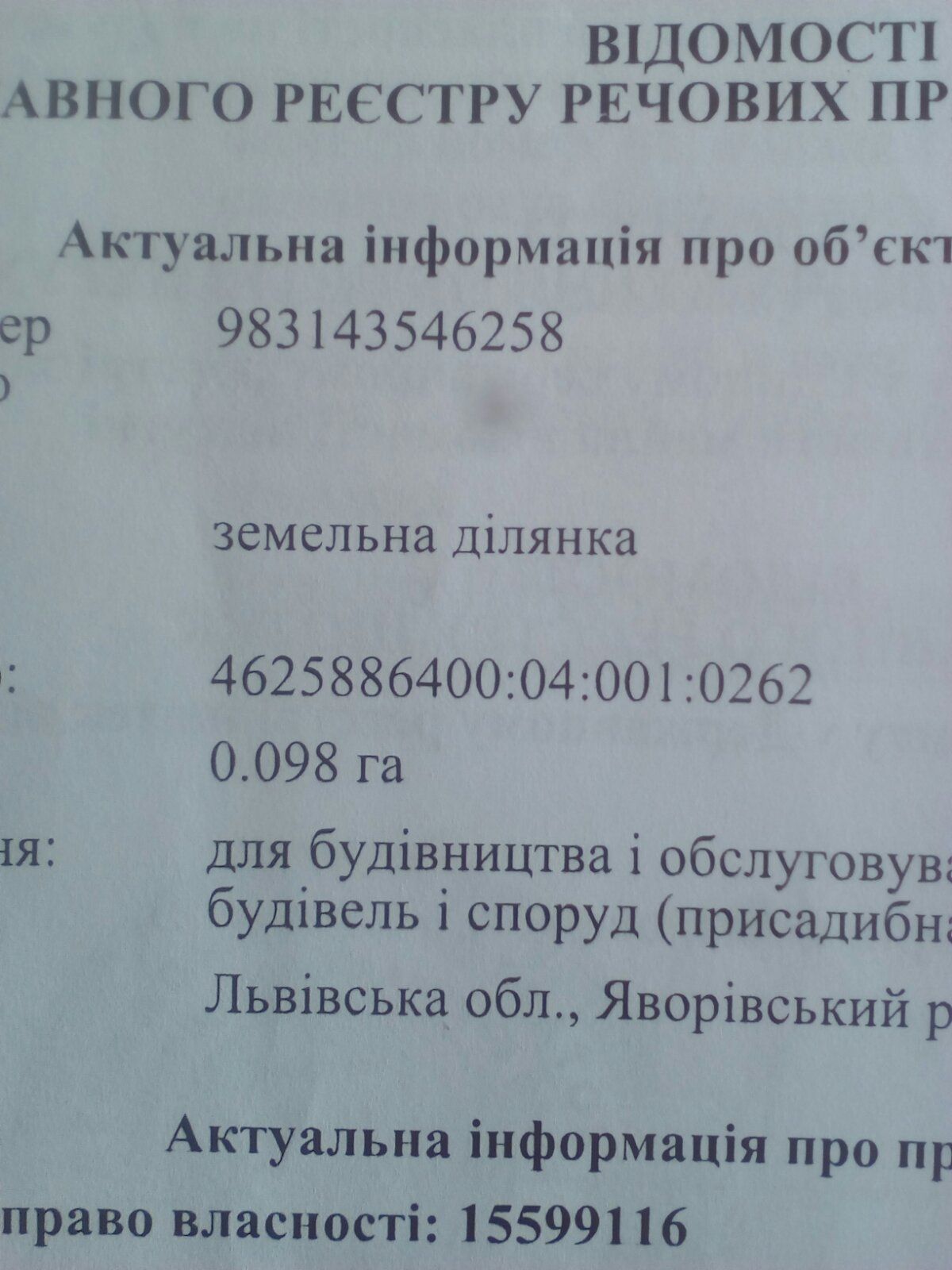 Земля під інд. будівництво Поріччя, 4625886400:04:001:0262 фото 4