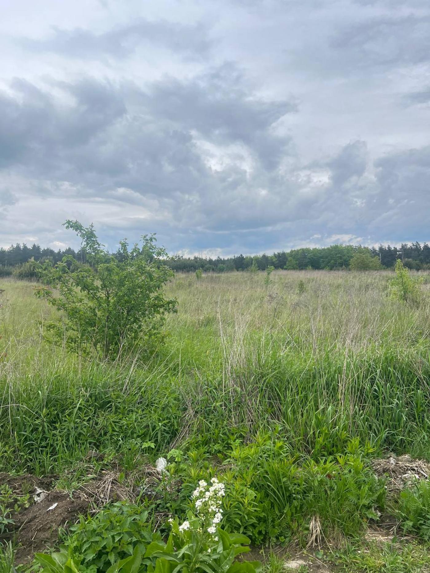 Земельні ділянки Брюховичі, 4610137500:11:009:0388 фото 6