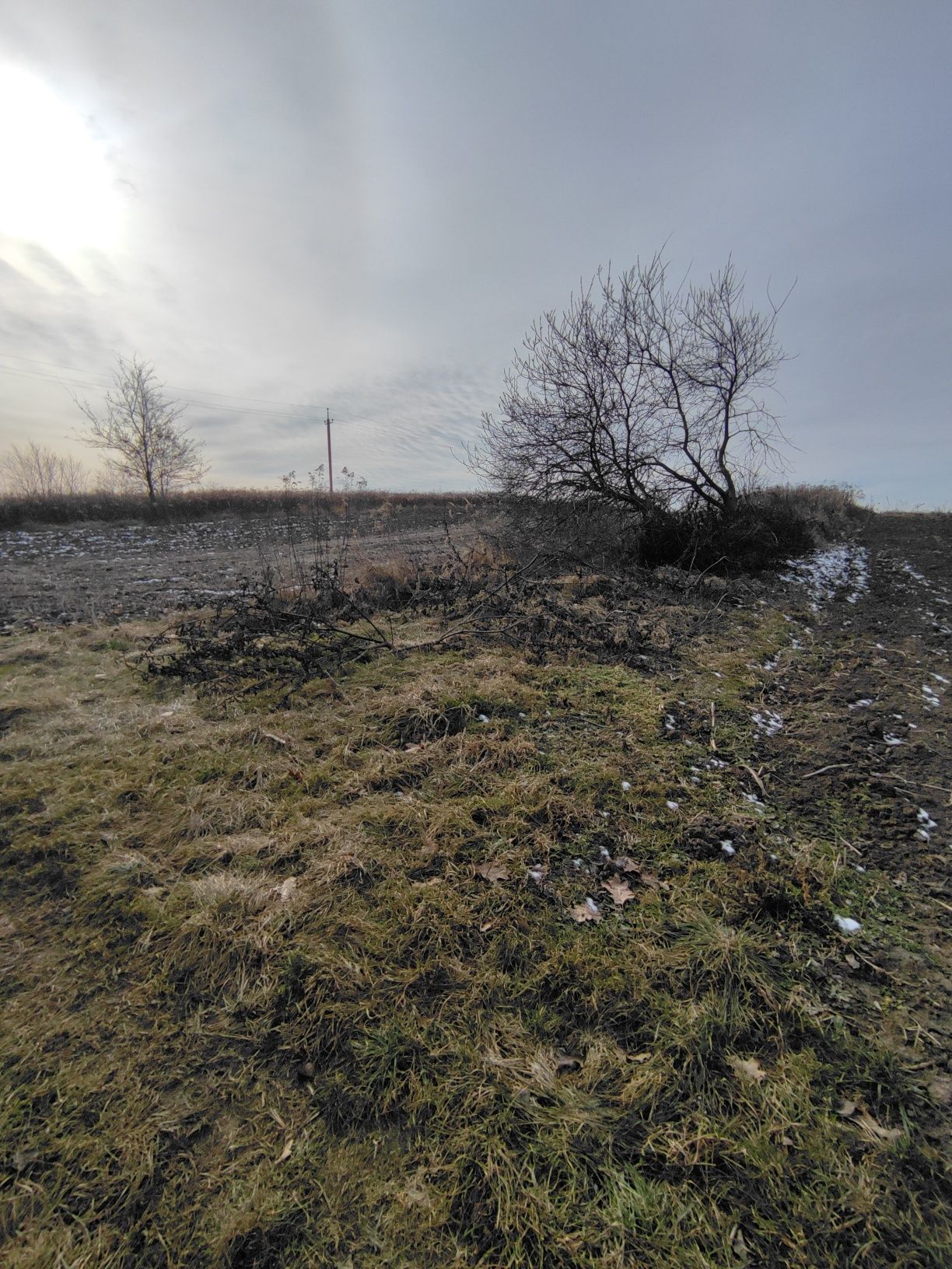 Продаж земельної ділянки, Ременів