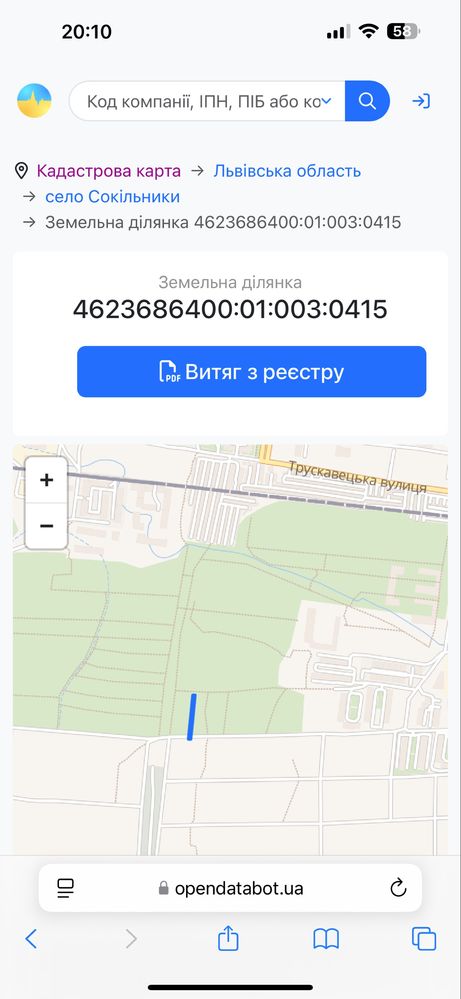 Земля сільгосппризначення Сокільники, 4623686400:01:003:0415. фото 4