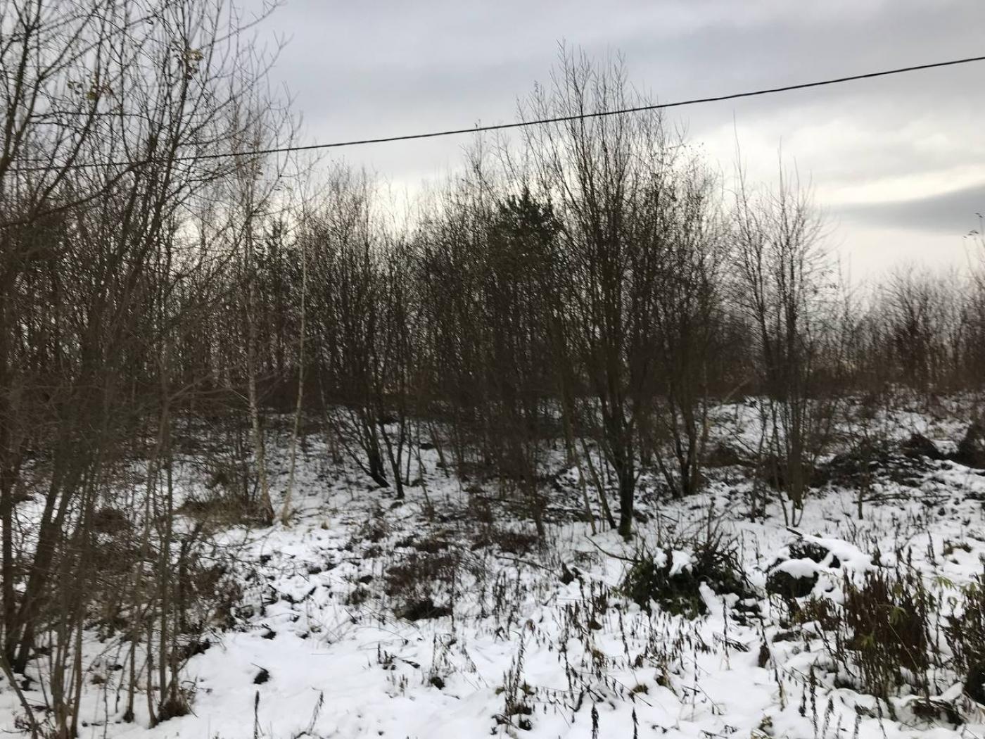Земля під інд. будівництво Зимна Вода, 4623681600:01:006:0398 фото 7