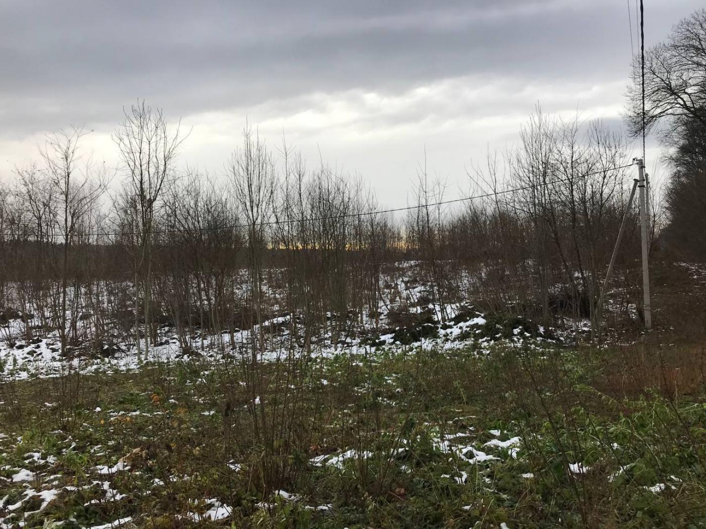 Земля під інд. будівництво Зимна Вода, 4623681600:01:006:0398 фото 3